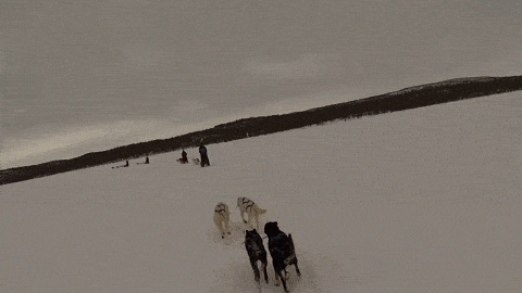 84290460.gif