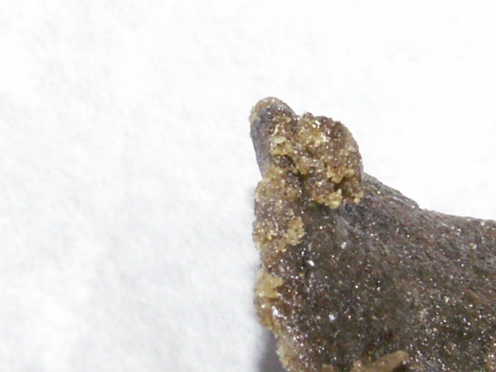 PICT0265.jpg