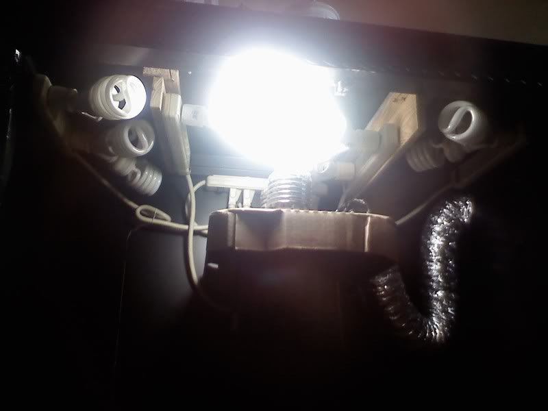 0904091514.jpg