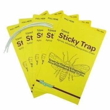 sticky-traps-500x500.jpg