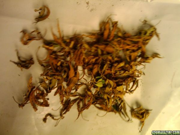 2009-10-23_20_23_13.jpg