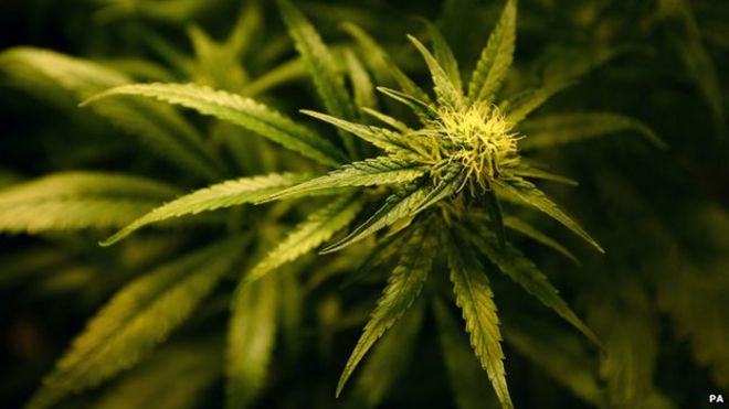 _80276324_paweed.jpg