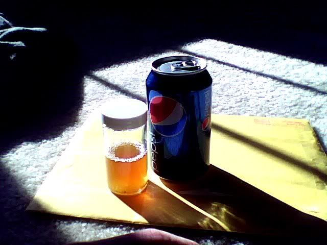 Snapshot_20091205.jpg
