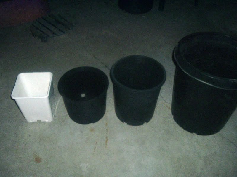 021-1.jpg