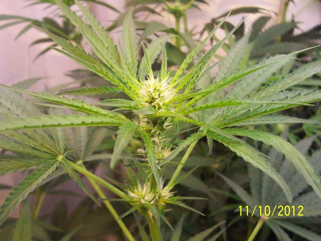 100_2742.jpg