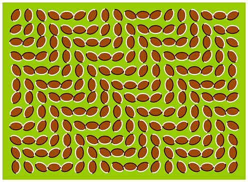 beans20moving20optical20illusion.gif