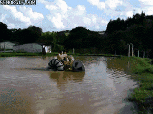 gifs_02.gif