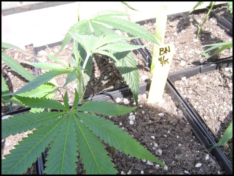 Outdoor_09_Pic3.jpg