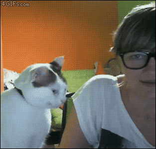 6eTKbHU.gif