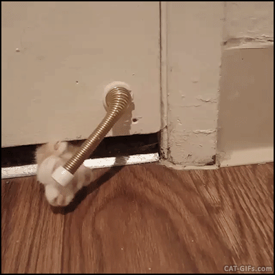57d2c2bca0666b384147af5acdca7f37.gif