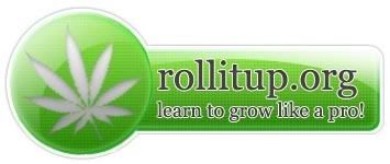rollit.jpg