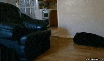 spG40.gif