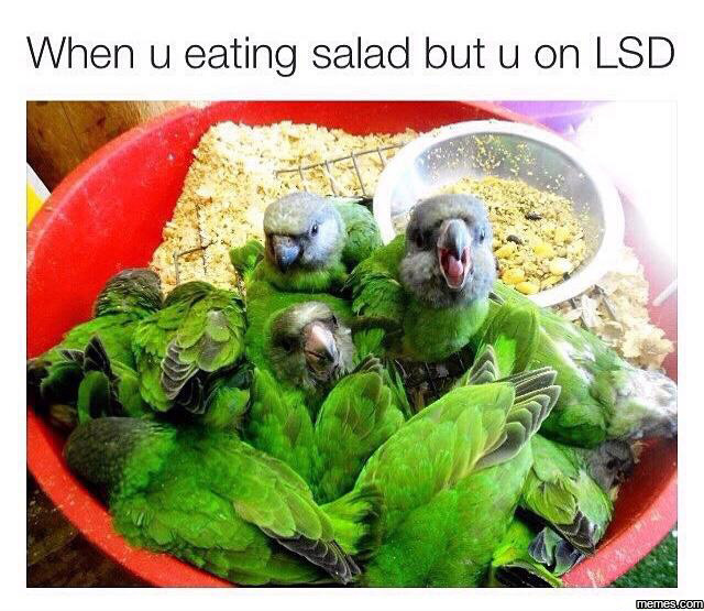 651696