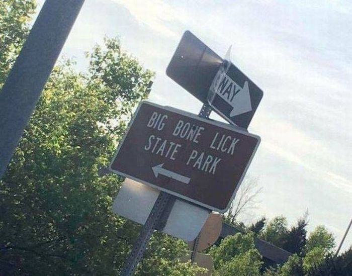 acid_picdump_33.jpg
