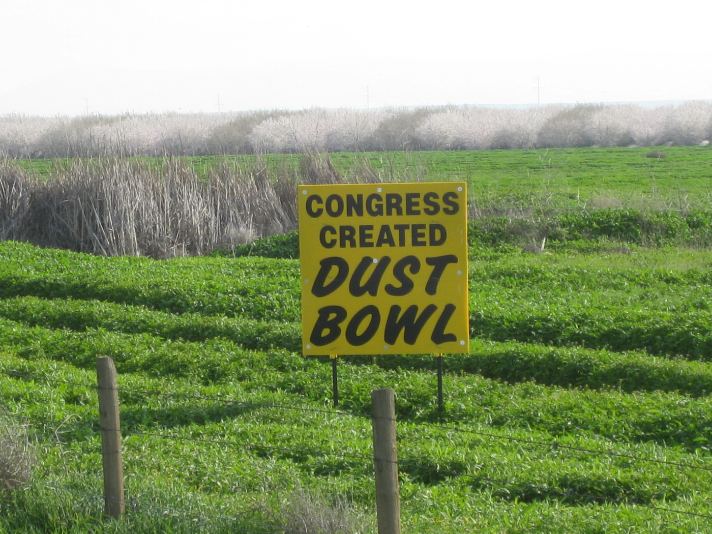 congress-created-dust-bowl-2.jpg
