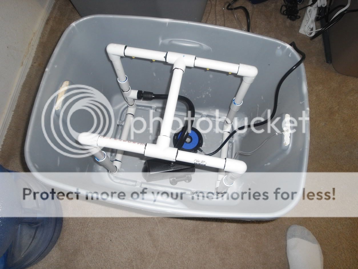 CIMG1039.jpg