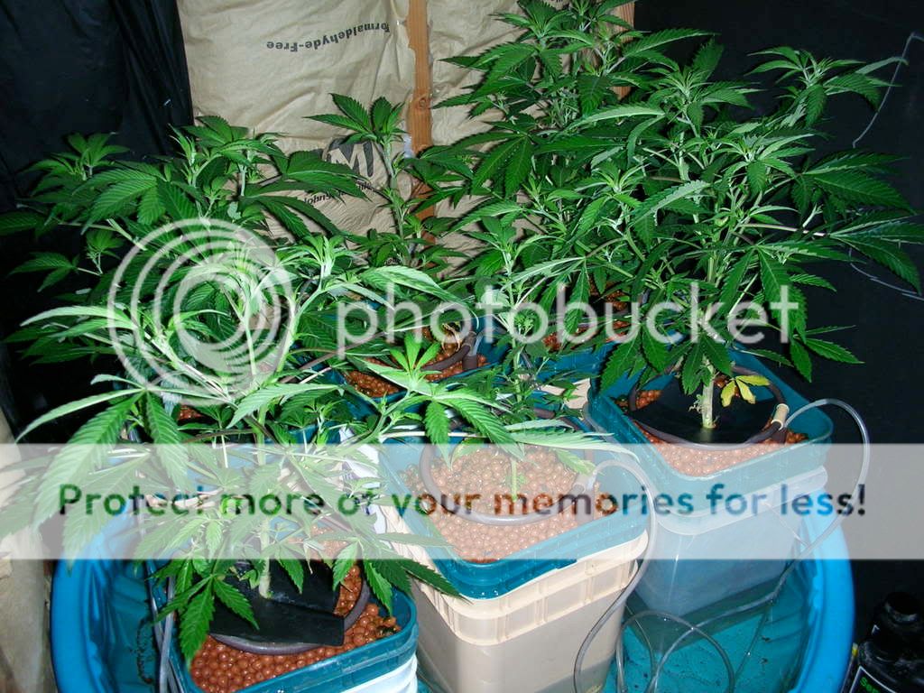DSCN1719.jpg