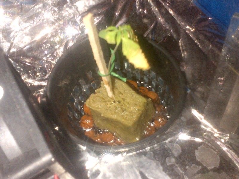 IMG-20121021-00229.jpg