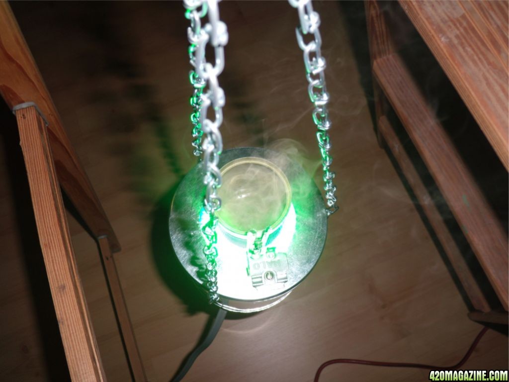 DSCN11373.JPG