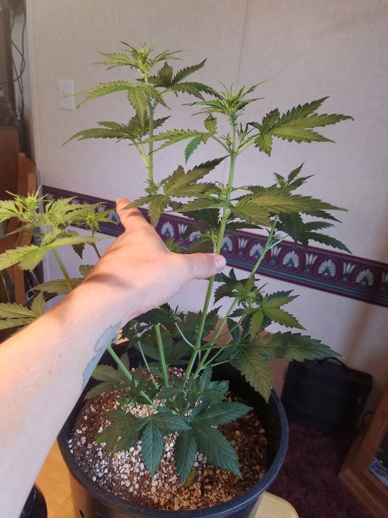 420-magazine-mobile1406703355.jpg