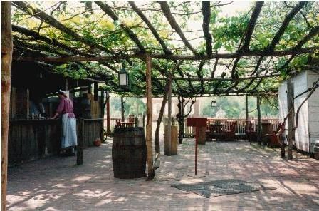 GrapevineShade.jpg