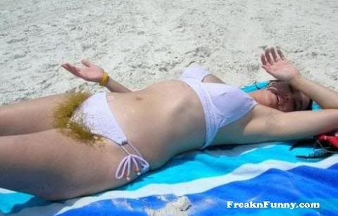 hairy_bush.jpg
