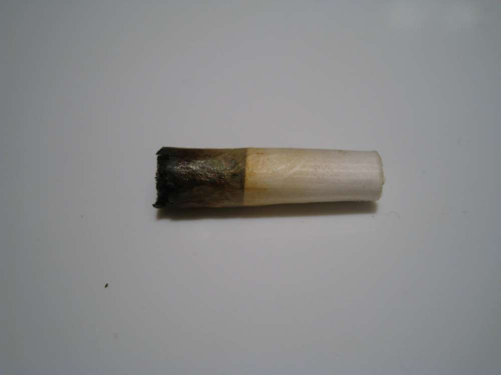 img3096l.jpg