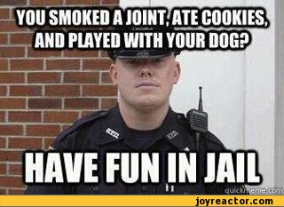 funny-pictures-stoner-humor-auto-police-385497.jpeg