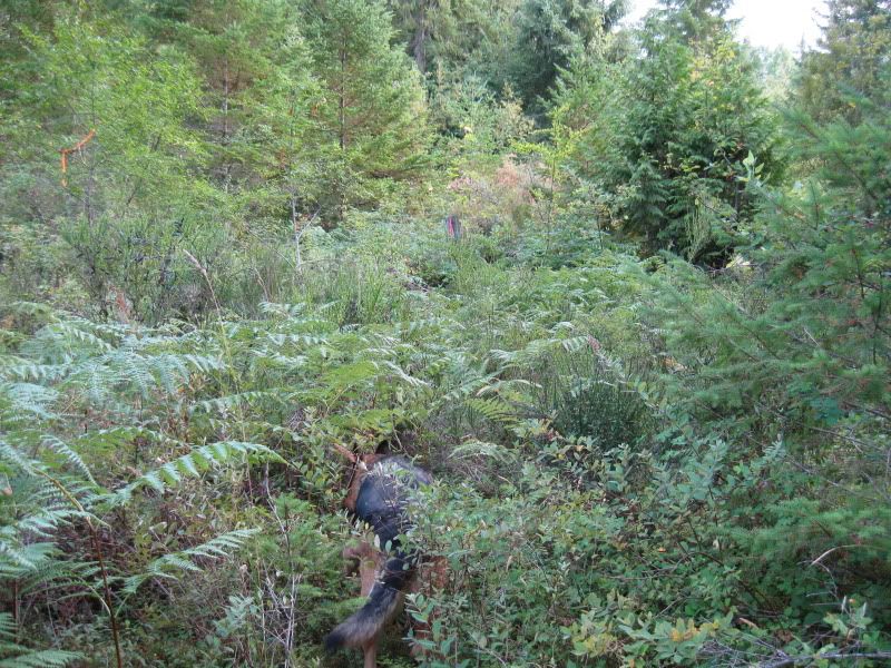 august12006.jpg