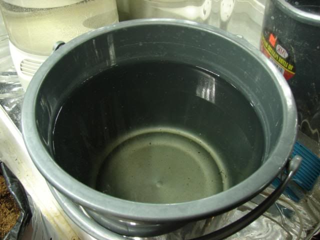 DSC05810.jpg