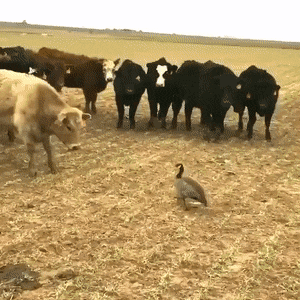 1677673325_22.gif