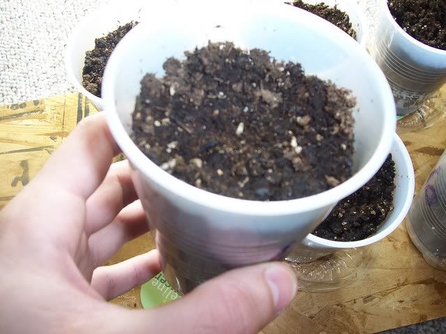 100_1724.jpg