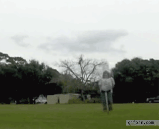 gifs_08.gif