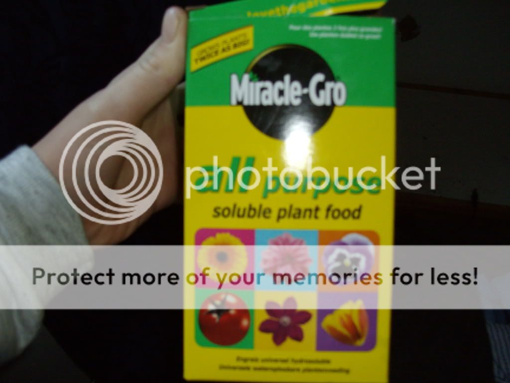 IMGP0876.jpg