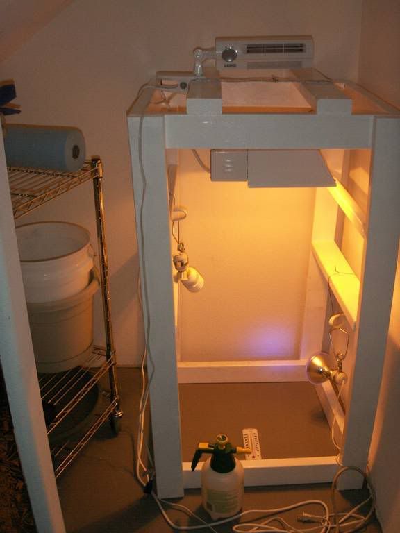 room2.jpg