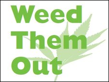 _47195139_cannabis.jpg