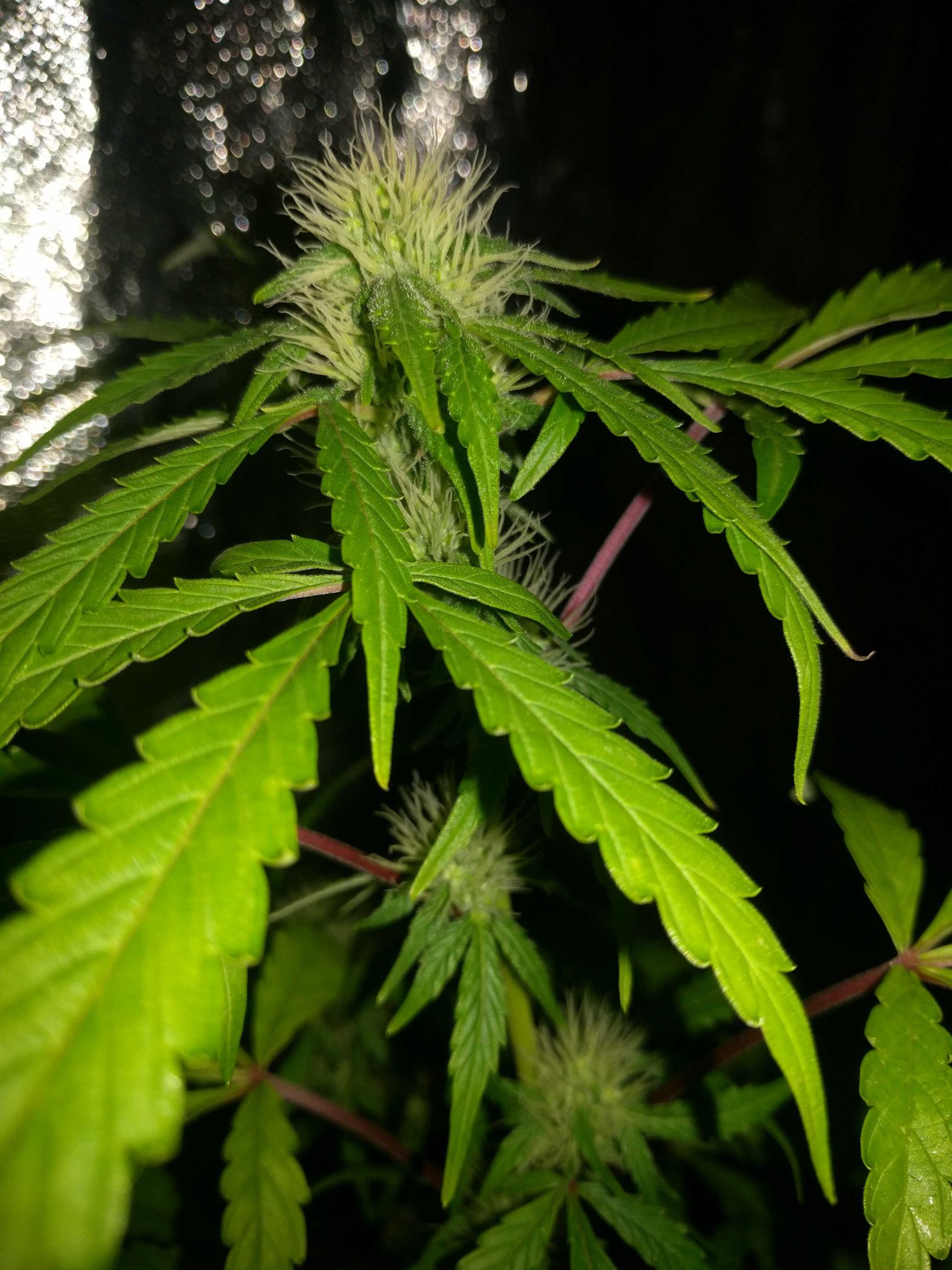 ef087a7bf8c5ef6d78cb68dab0b91fd9.jpg