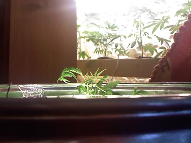 0202001513.jpg