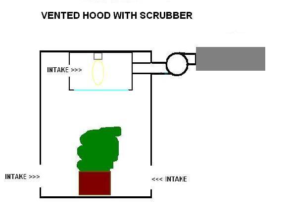 VENTEDSCRUB.JPG