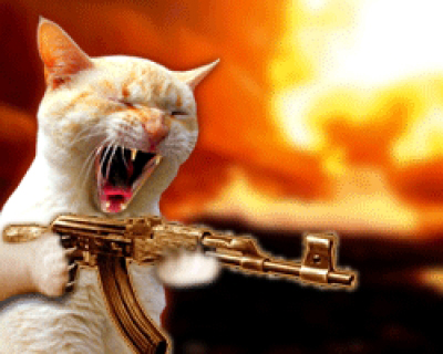Cat_machine_gun.jpg