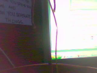 Picture9.jpg