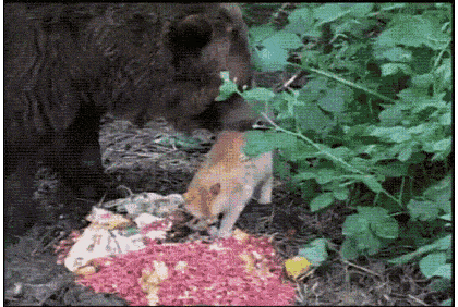 1662628691_9.gif