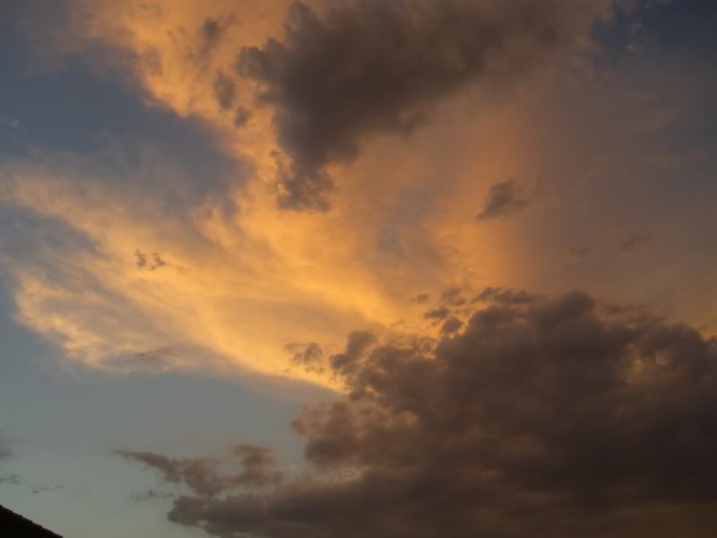 Picture044.jpg