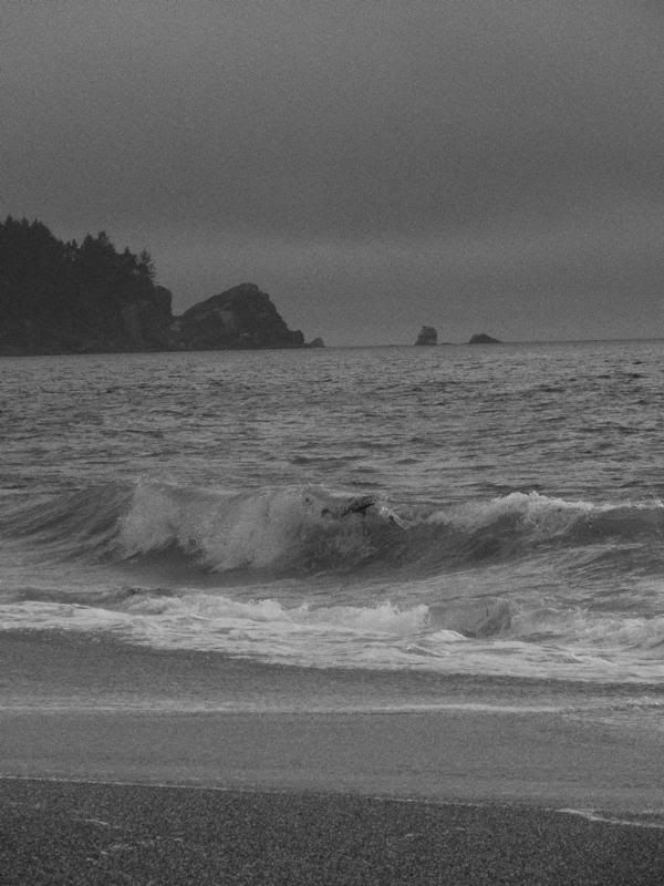 P10006871R.jpg