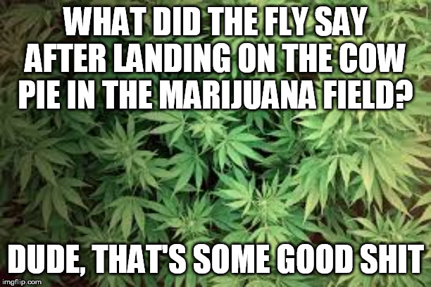 36cbvr.jpg
