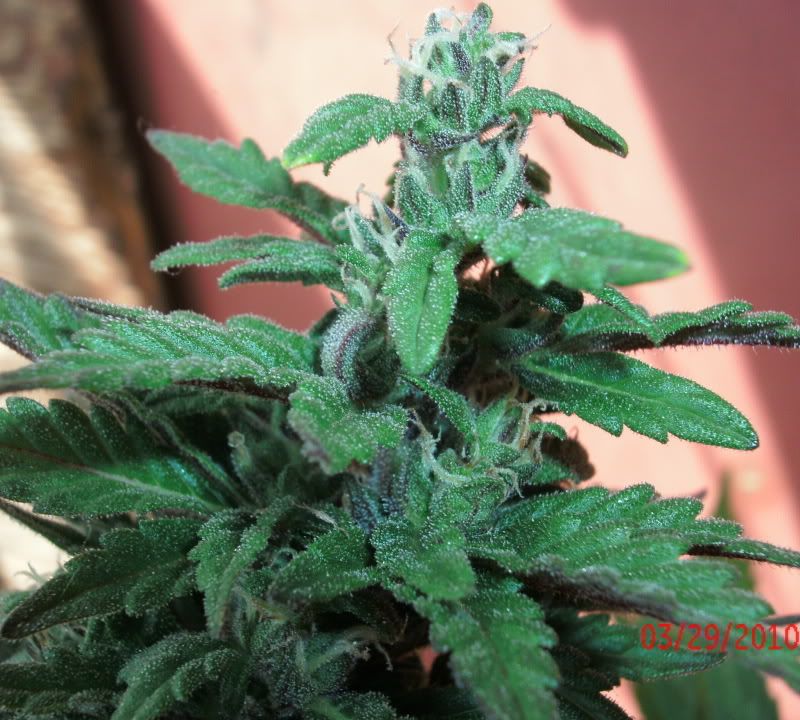 GEDC0562.jpg