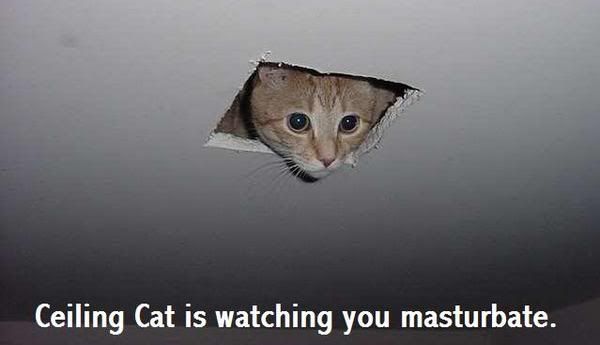 ceiling-1.jpg