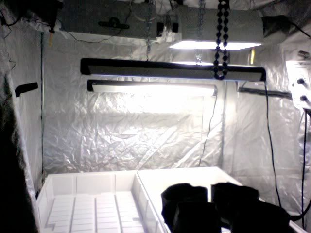 Photo16.jpg