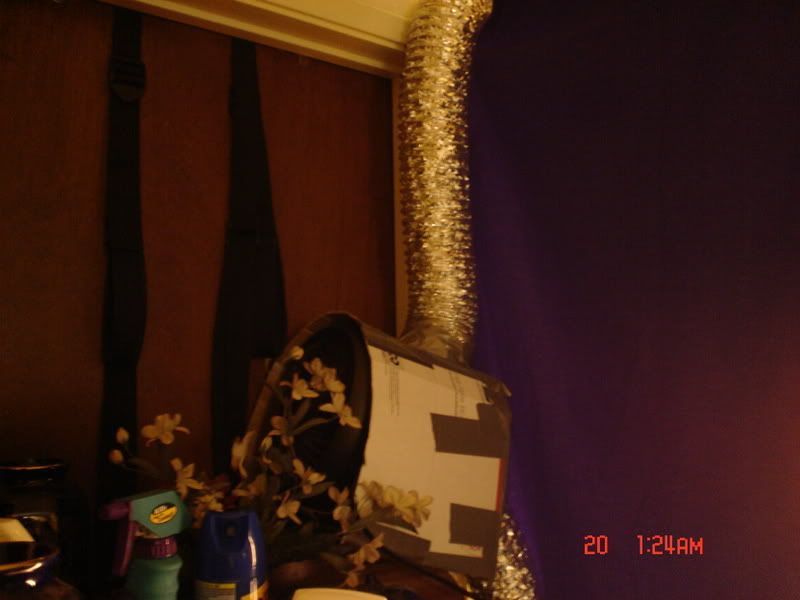 Picture038-1.jpg