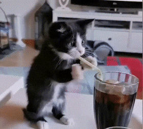 1661977611_1.gif